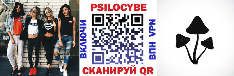 Галлюциногенные грибы Psilocybe  blacksprut ссылка  Елизаветинская 
