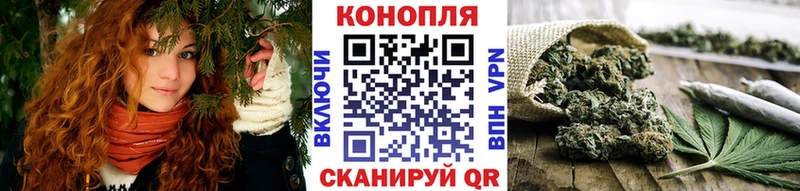где купить наркоту  Елизаветинская  Канабис White Widow 